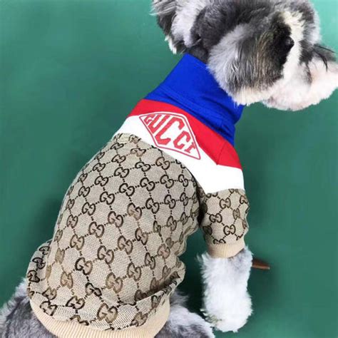 vetement pour chien gucci